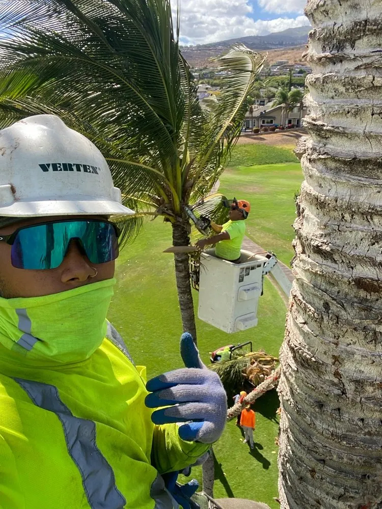 Trusted landscaping services near you across Ewa Beach, HI - Islandwide Landscaping