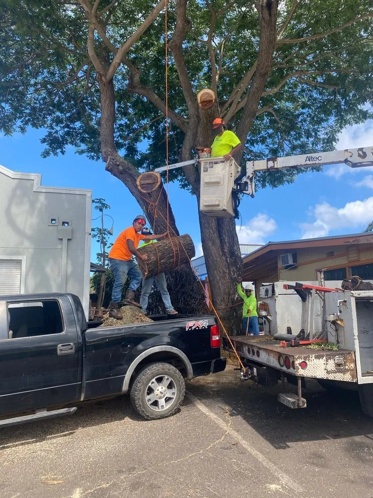 Trusted garden landscaping in Ewa Beach, HI - Islandwide Landscaping