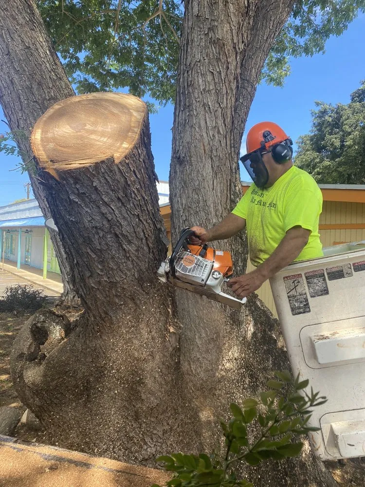 Reliable landscaping services experts serving Ewa Beach, HI - Islandwide Landscaping