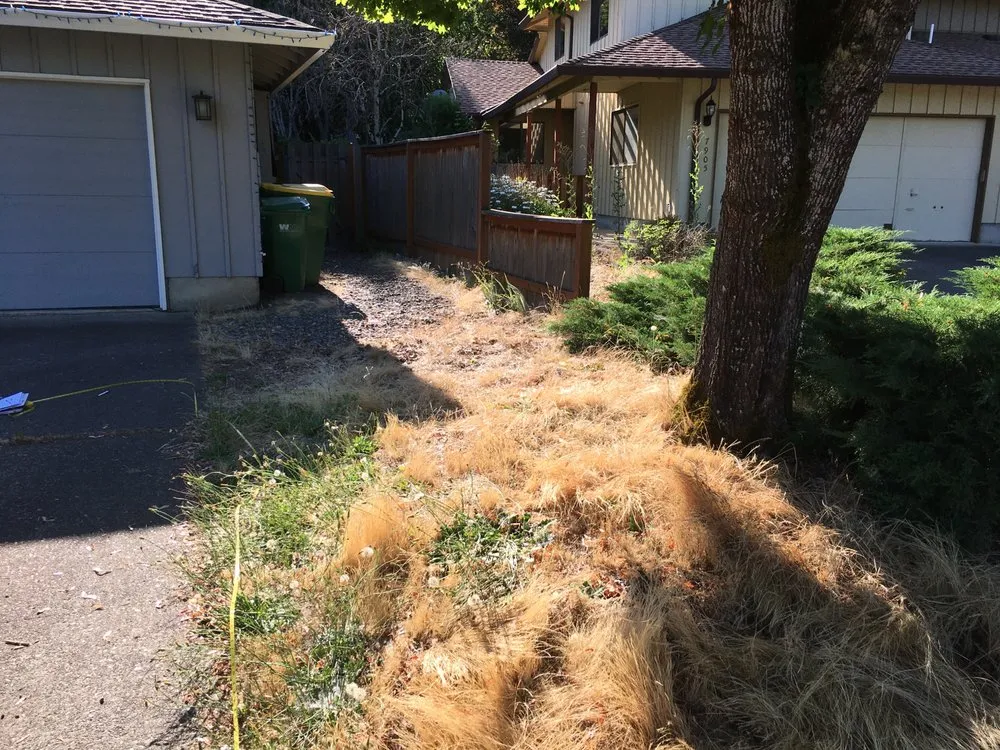 Reliable yard cleanup service in Portland, OR by Islandx Escape Custome Landscaping