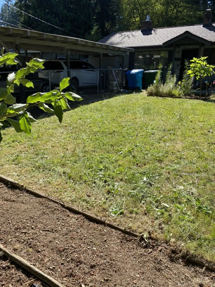 Custom landscape installation experts serving Mountlake Terrace, WA - Islas Landscaping