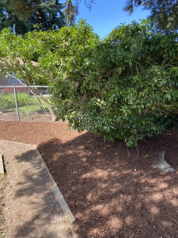 Reliable garden landscaping in Mountlake Terrace, WA - Islas Landscaping