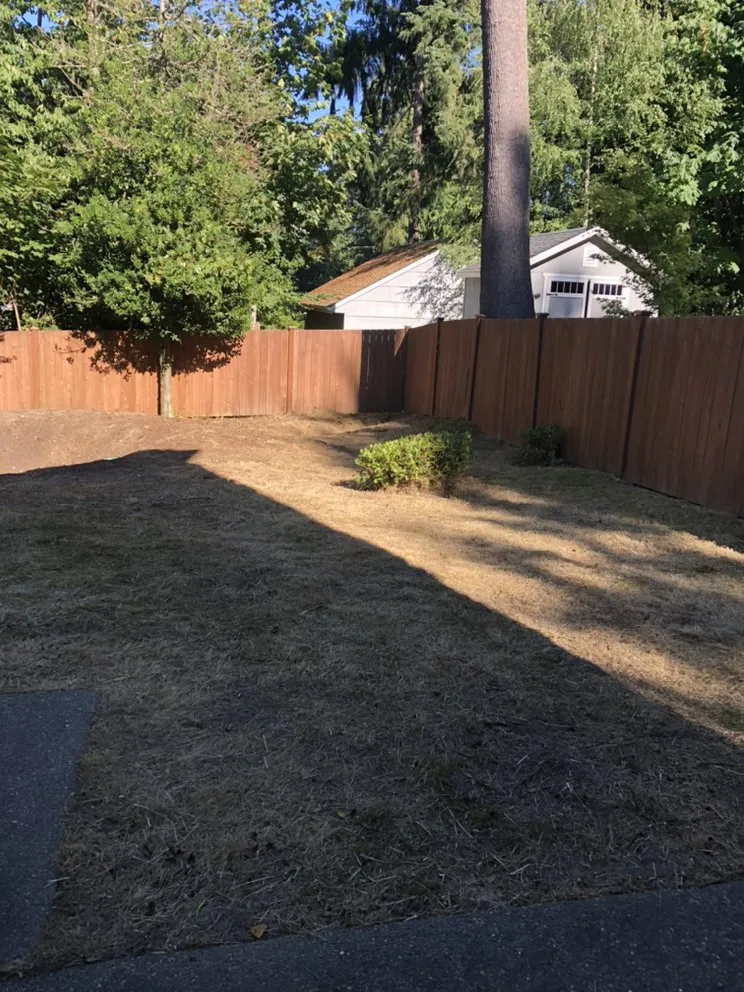 Top-rated lawn mowing service in Mountlake Terrace, WA by Islas Landscaping