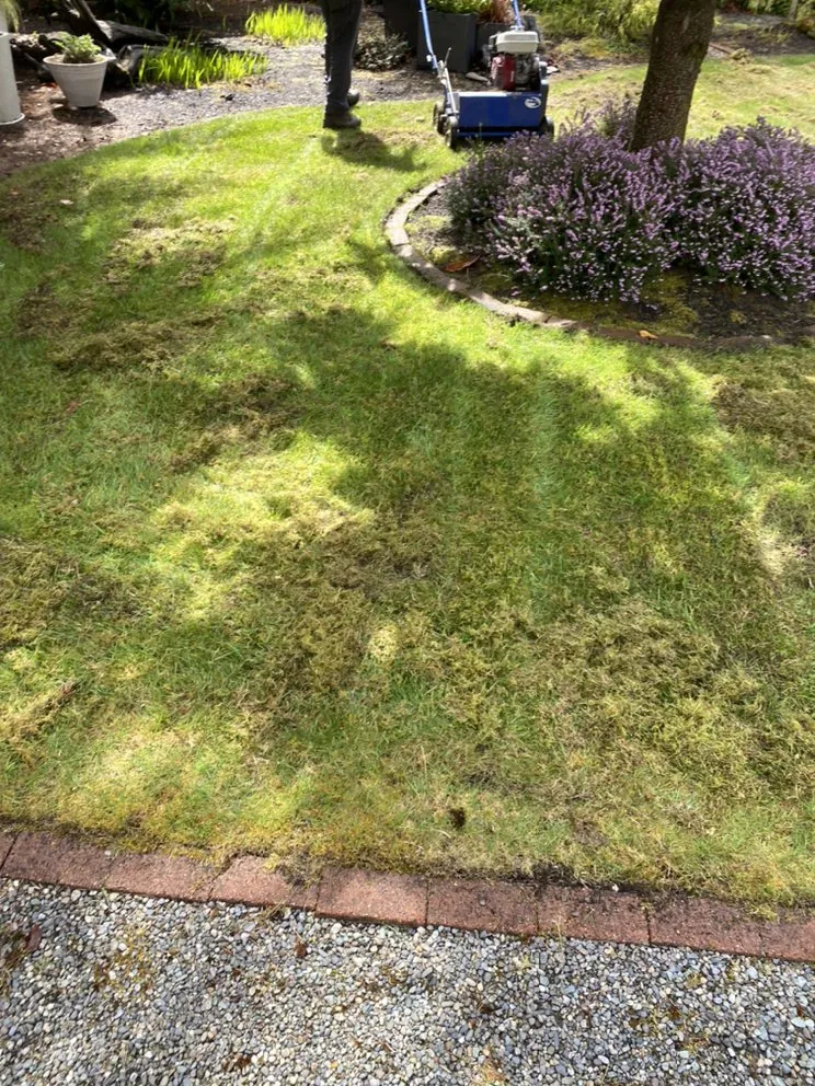 Affordable landscape design in Mountlake Terrace, WA - Islas Landscaping