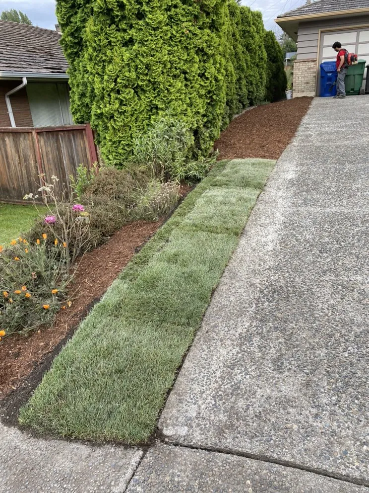 Expert landscaping services in Mountlake Terrace, WA by Islas Landscaping