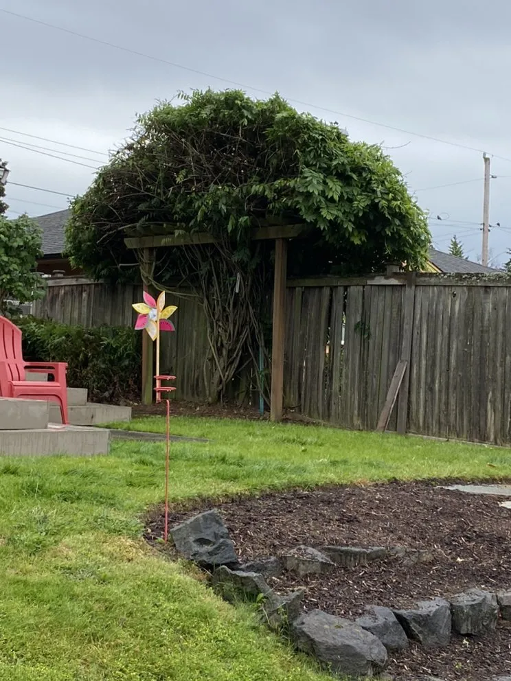 Professional residential landscaping experts serving Mountlake Terrace, WA - Islas Landscaping