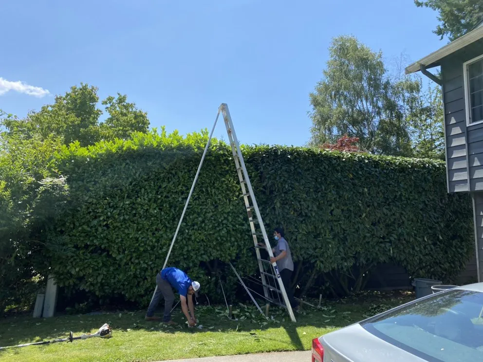 Local landscape installation for beautiful yards across Mountlake Terrace, WA - Islas Landscaping