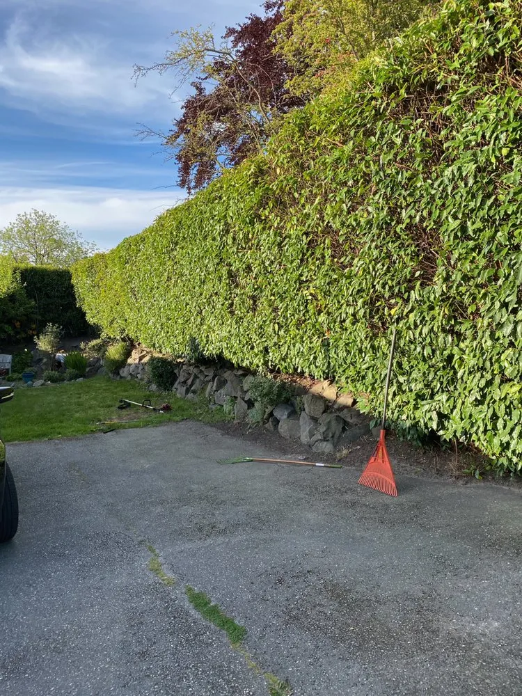 Affordable lawn mowing service in Mountlake Terrace, WA - Islas Landscaping