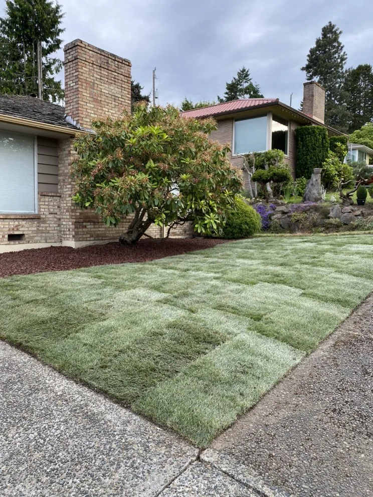 Custom landscape installation for residential properties across Mountlake Terrace, WA - Islas Landscaping