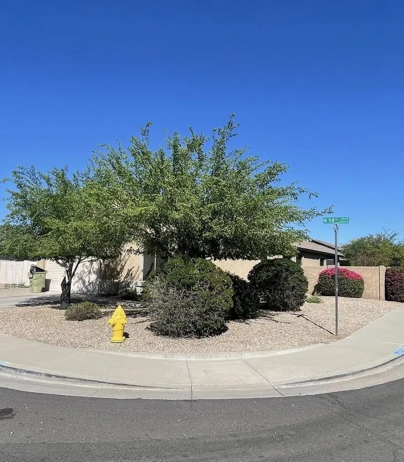 Professional landscaping services in Phoenix, AZ by Islas Landscaping