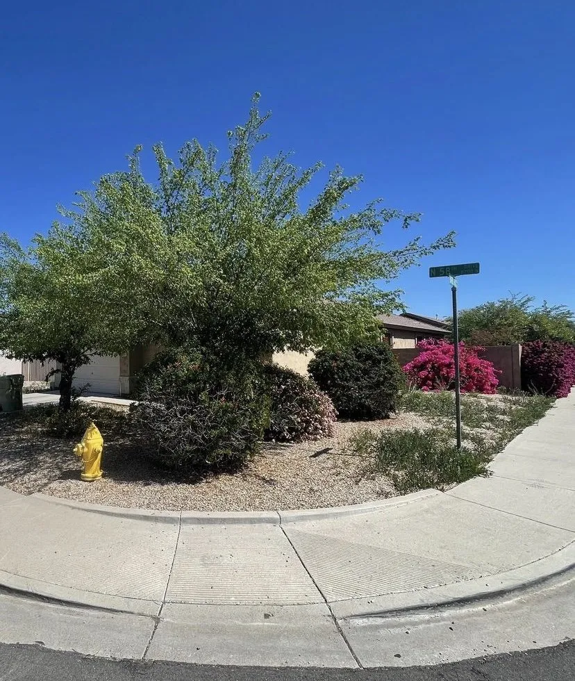 Local outdoor landscaping in Phoenix, AZ - Islas Landscaping