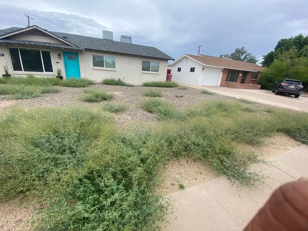 Local lawn mowing service in Phoenix, AZ by Islas Landscaping