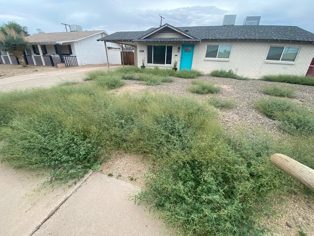 Affordable landscape installation for homes in Phoenix, AZ by Islas Landscaping