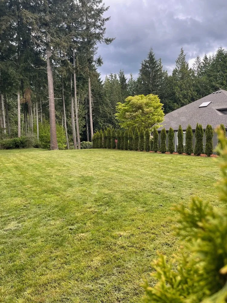 Reliable outdoor landscaping for outdoor upgrades in Renton, WA by Ismael Landscaping