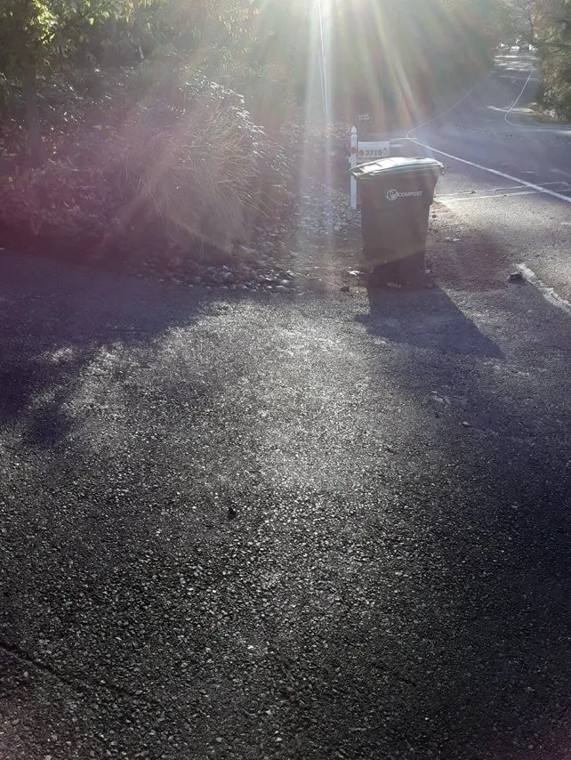 Custom landscaping services for beautiful yards across Renton, WA - Ismael Landscaping