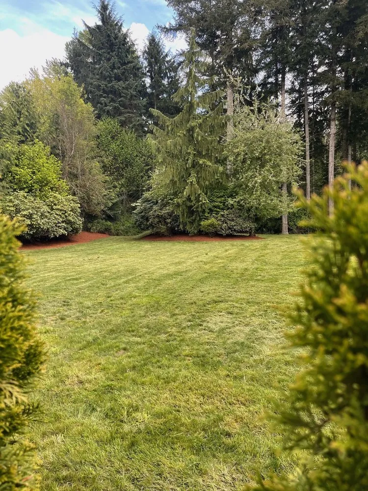 Trusted outdoor landscaping in Renton, WA - Ismael Landscaping