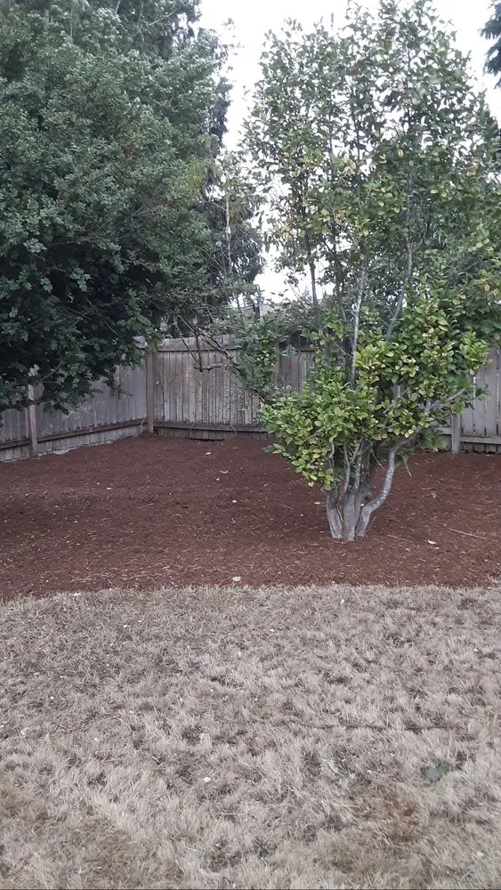 Affordable lawn mowing service experts serving Renton, WA - Ismael Landscaping