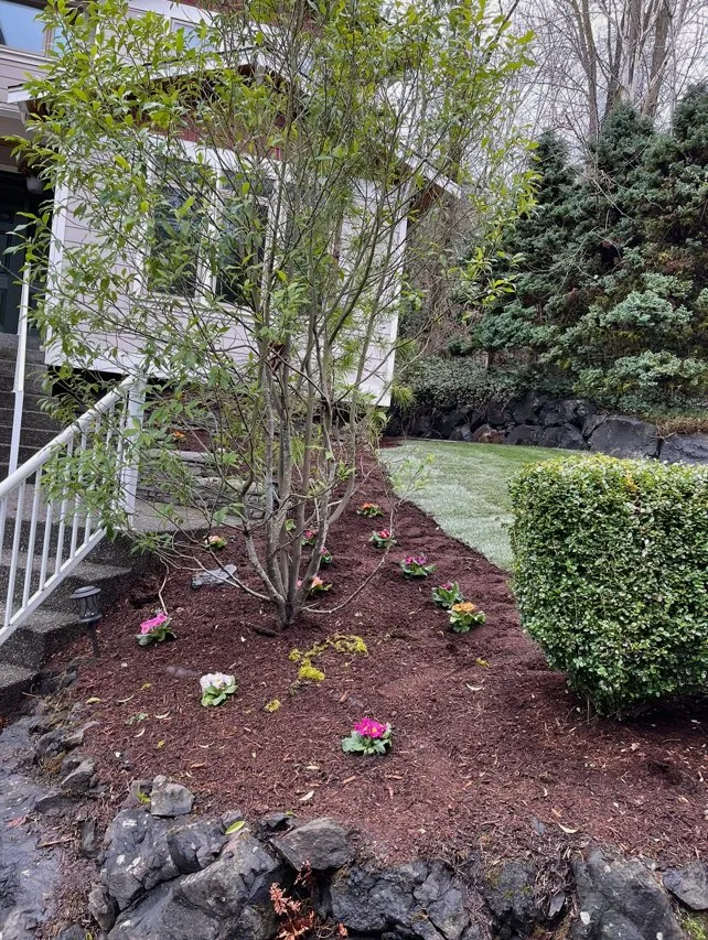 Local landscape design for outdoor upgrades across Renton, WA - Ismael Landscaping