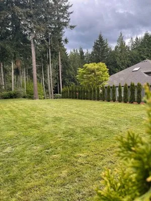 Ismael Landscaping Logo