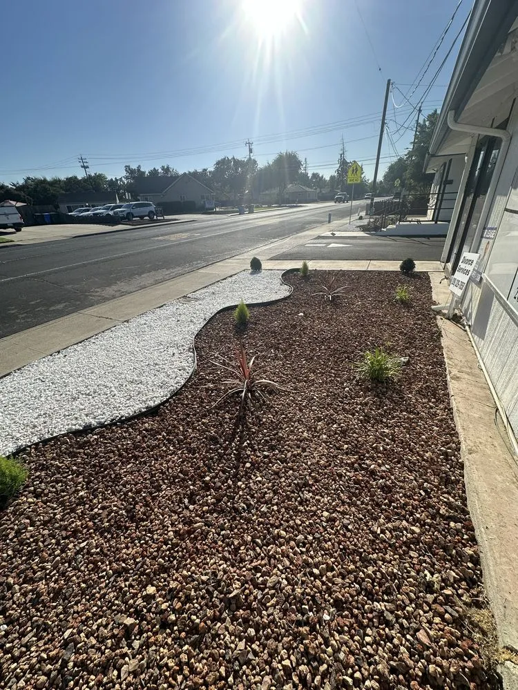 Top-rated lawn mowing service for residential properties in Stockton, CA by Ismael Landscaping