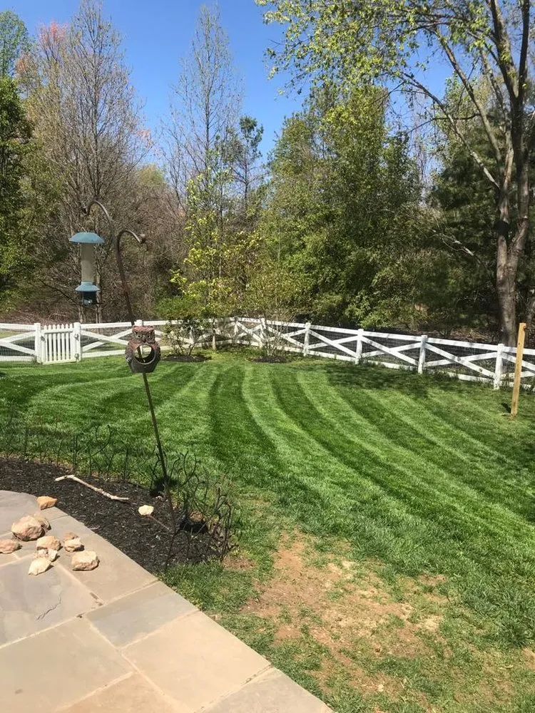 Top-rated residential landscaping in Montgomery Vlg, MD - Ismael Lawncare