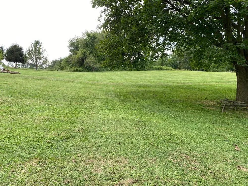 Affordable yard maintenance with custom design in Montgomery Vlg, MD by Ismael Lawncare