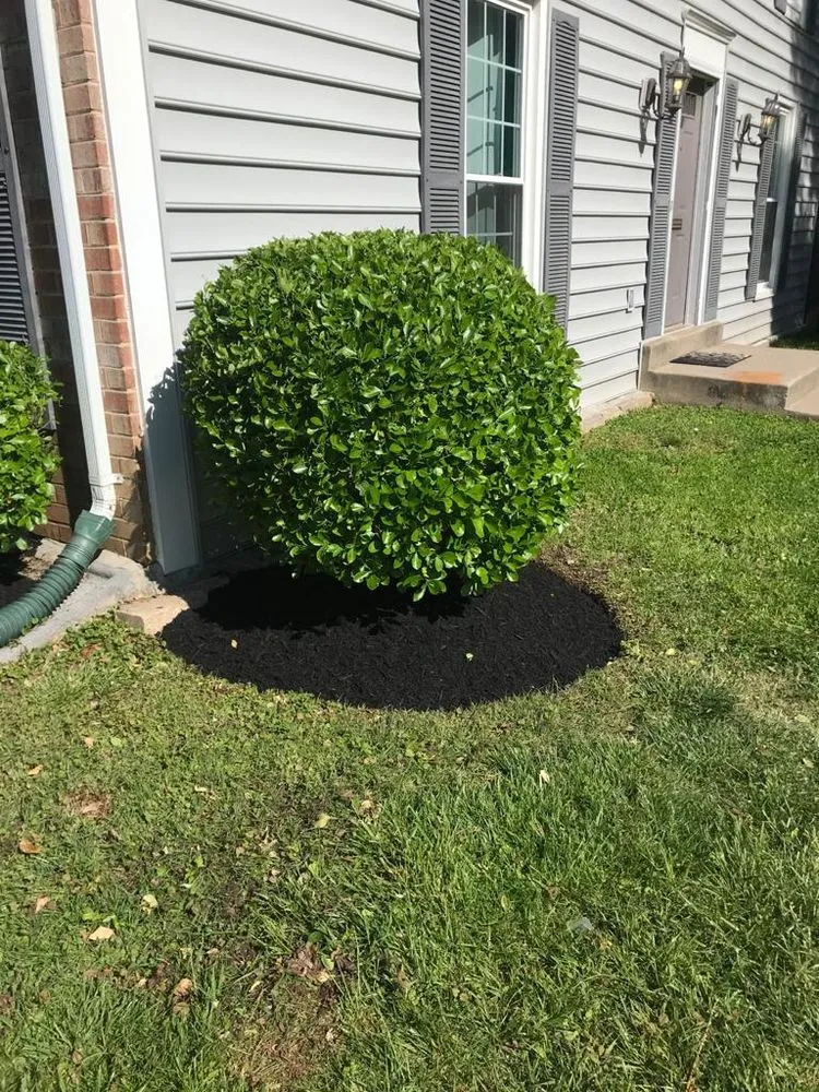 Reliable residential landscaping in Montgomery Vlg, MD by Ismael Lawncare
