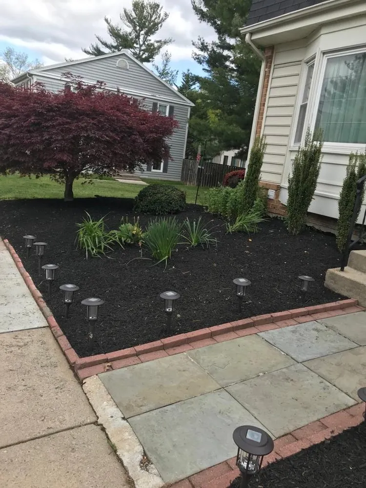 Reliable yard cleanup service in Montgomery Vlg, MD - Ismael Lawncare