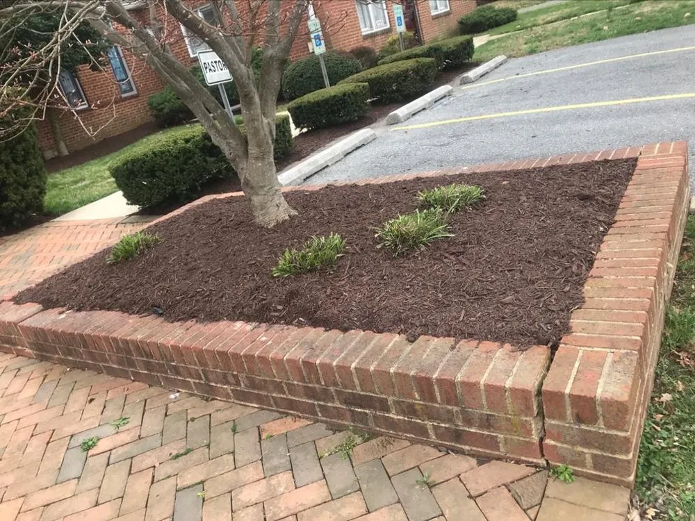 Top-rated residential landscaping experts serving Montgomery Vlg, MD - Ismael Lawncare