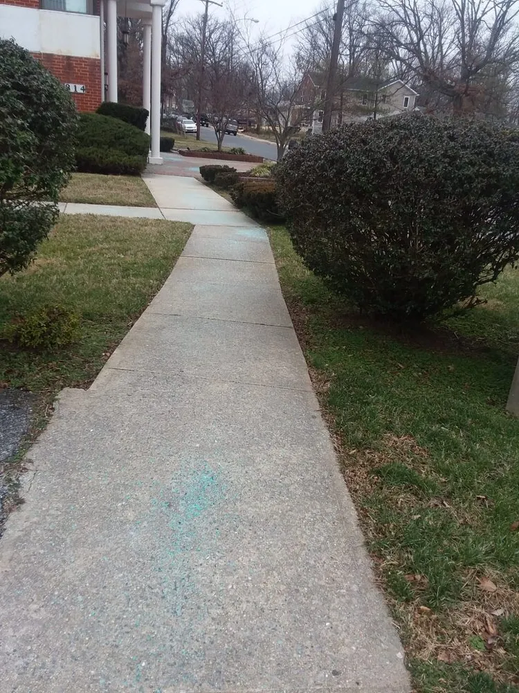 Top-rated yard cleanup service in Montgomery Vlg, MD by Ismael Lawncare