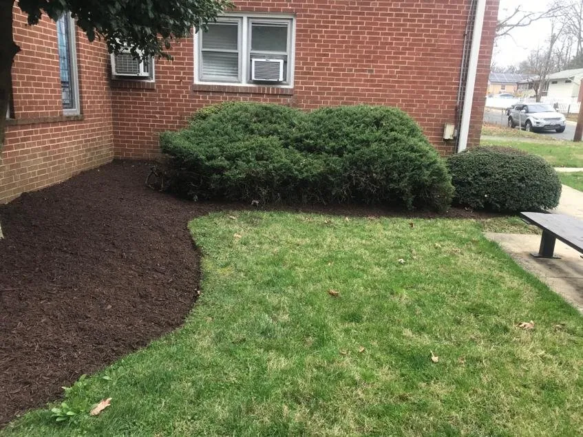 Top-rated landscaping services near you in Montgomery Vlg, MD by Ismael Lawncare