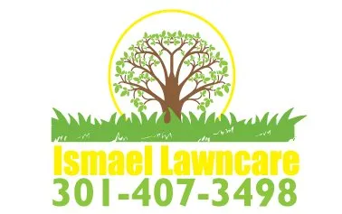 Top-rated landscape design for year-round maintenance across Montgomery Vlg, MD - Ismael Lawncare