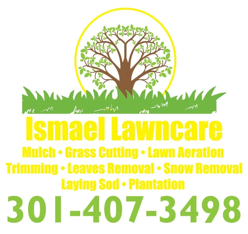 Reliable lawn care service for homes in Montgomery Vlg, MD by Ismael Lawncare