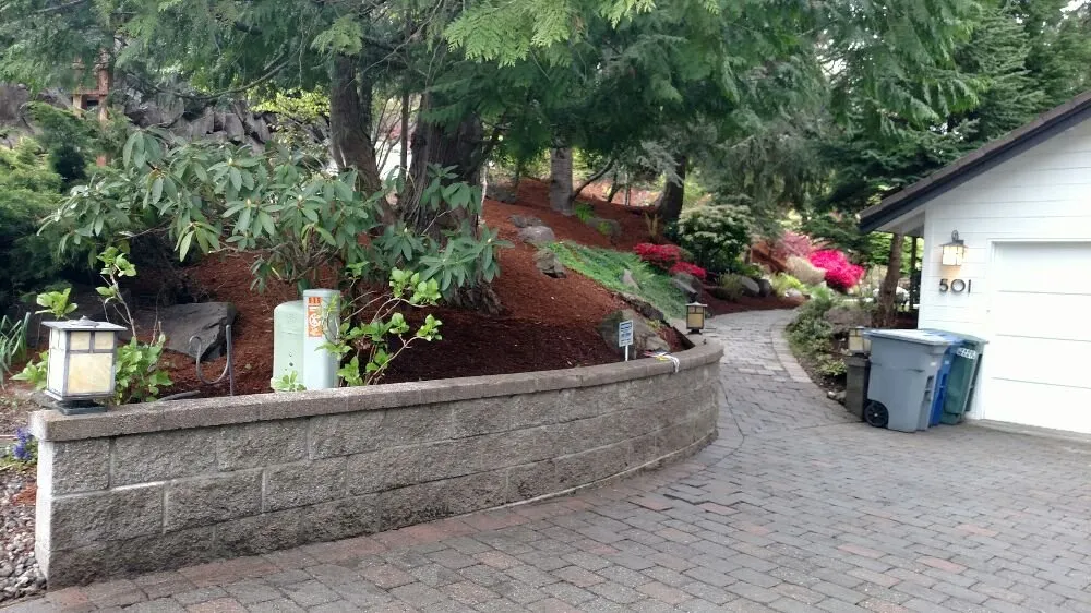 Local yard cleanup service experts serving Seattle, WA - Ismael Muro Landscaping