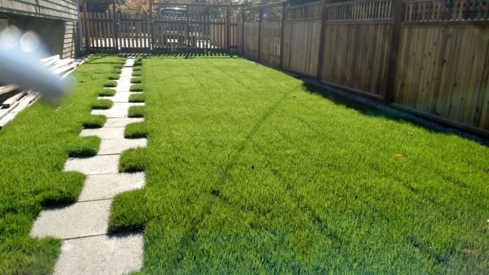Reliable yard cleanup service for outdoor upgrades in Seattle, WA by Ismael Muro Landscaping