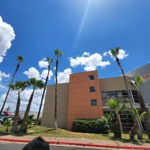 Top-rated landscape installation with custom design in Laredo, TX by Ismael Tree Service