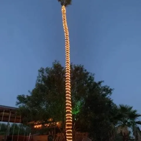 Top-rated lawn care service near you across Laredo, TX - Ismael Tree Service