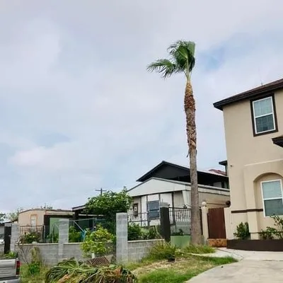 Ismael Tree Service Logo