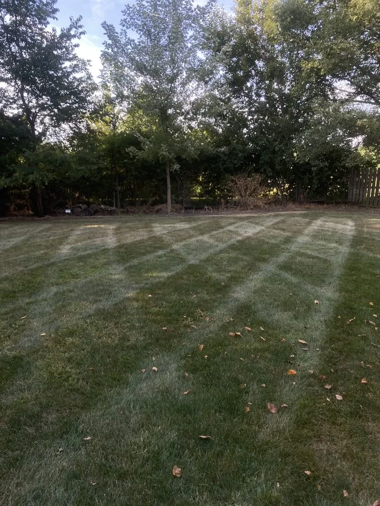 Trusted lawn mowing service near you across Indianapolis, IN - Isol Lawn and landscape