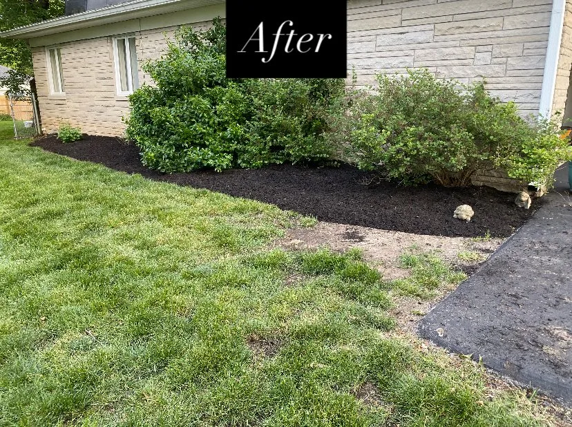 Top-rated yard cleanup service for homes in Indianapolis, IN by Isol Lawn and landscape