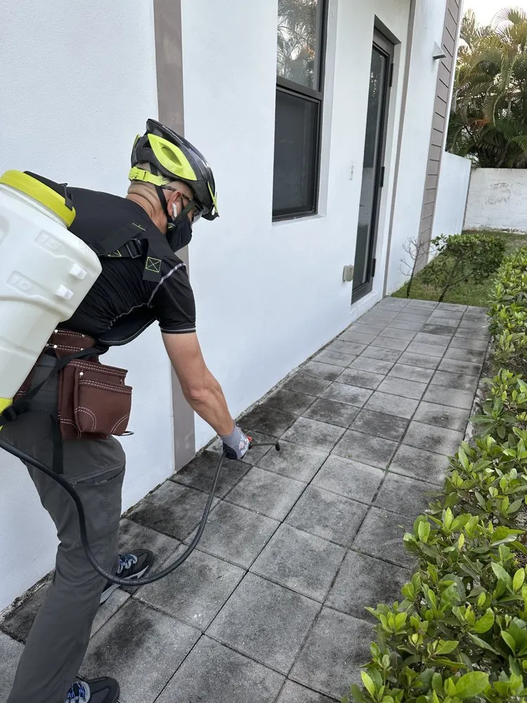 Trusted residential landscaping experts serving Miami, FL - Isoneat