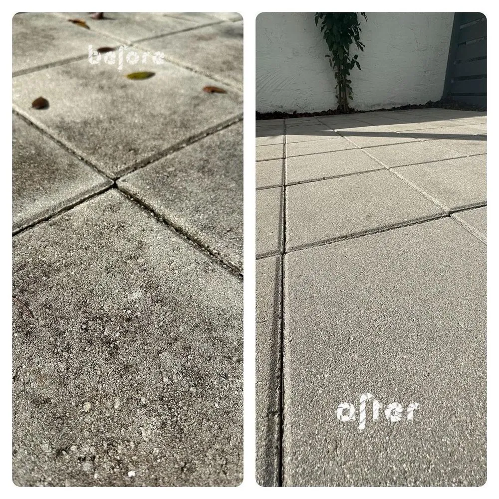 Affordable outdoor landscaping experts serving Miami, FL - Isoneat