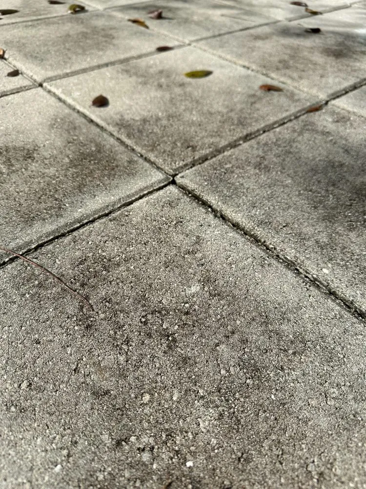 Affordable lawn care service with custom design across Miami, FL - Isoneat