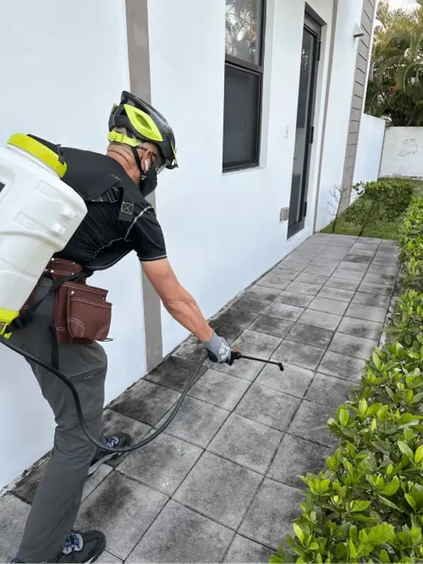 Top-rated landscape installation for year-round maintenance across Miami, FL - Isoneat