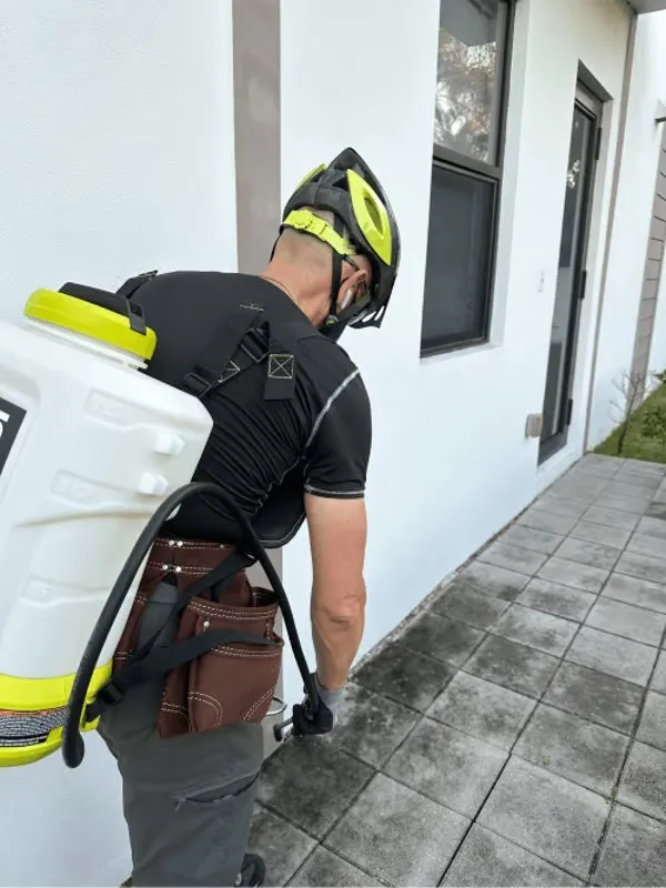 Reliable landscaping services in Miami, FL by Isoneat