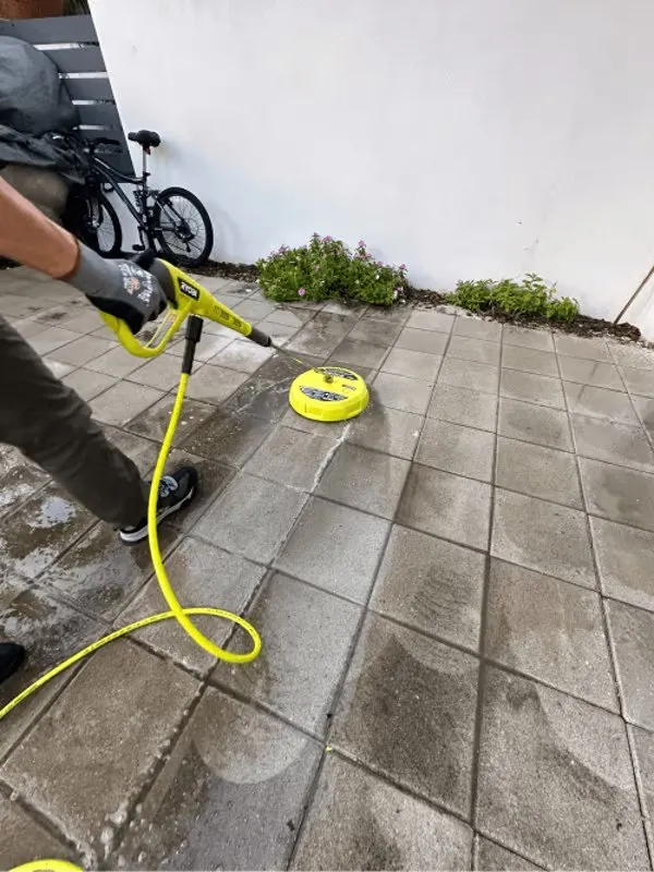 Professional garden landscaping with custom design in Miami, FL by Isoneat