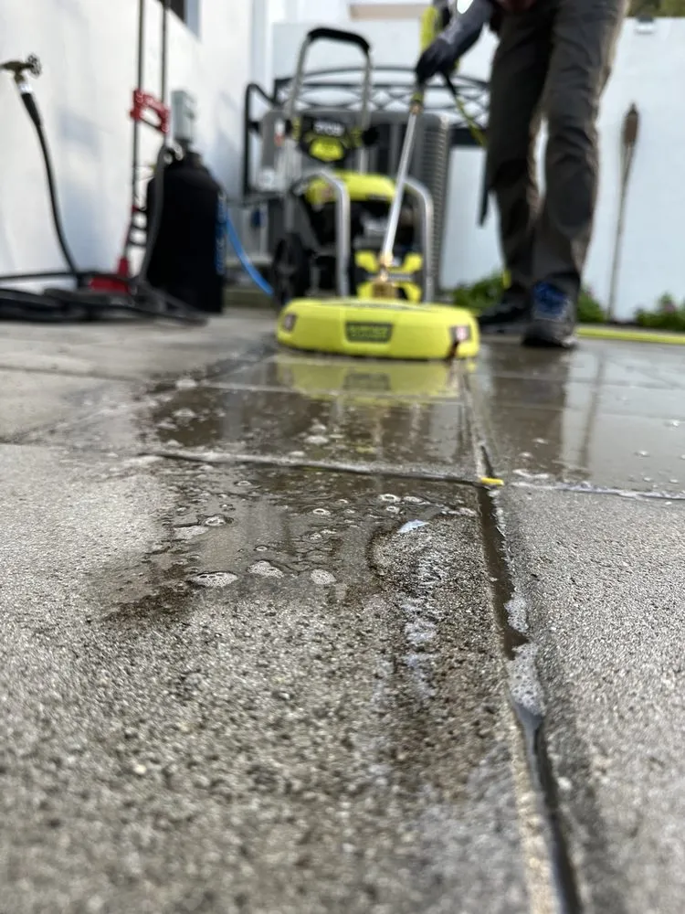 Local outdoor landscaping for year-round maintenance in Miami, FL by Isoneat