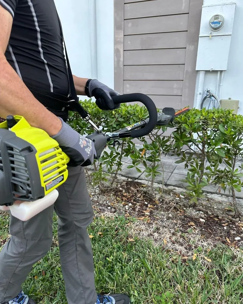 Professional yard cleanup service in Miami, FL - Isoneat