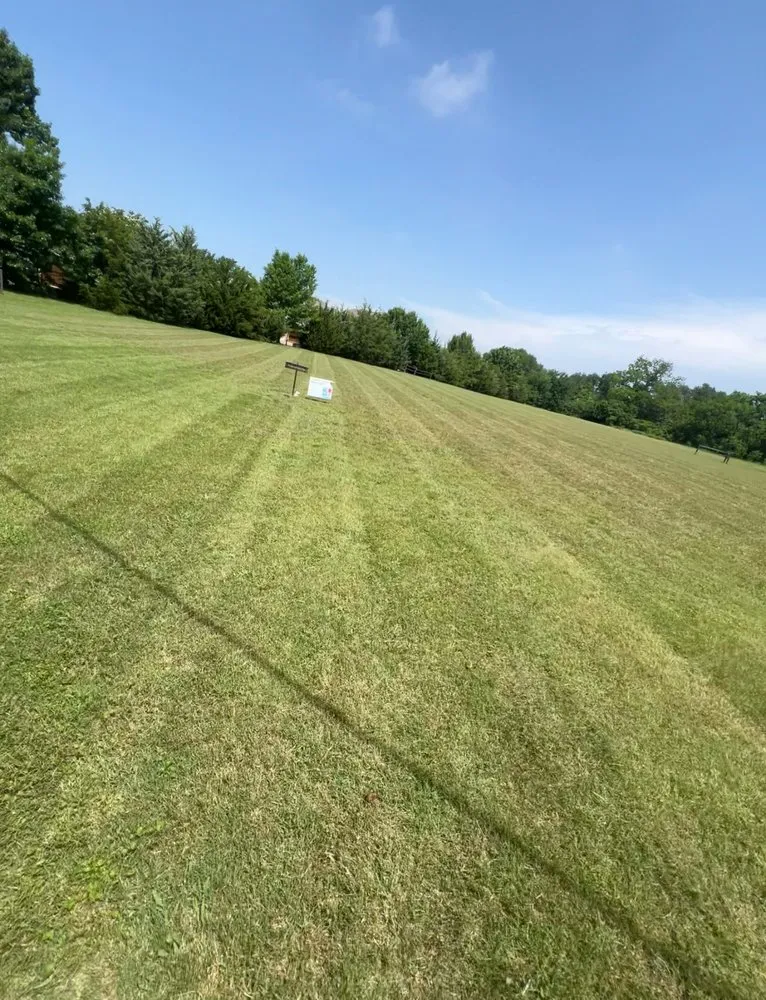 Expert yard cleanup service for year-round maintenance across Wylie, TX - ISR Lawn & Landscaping