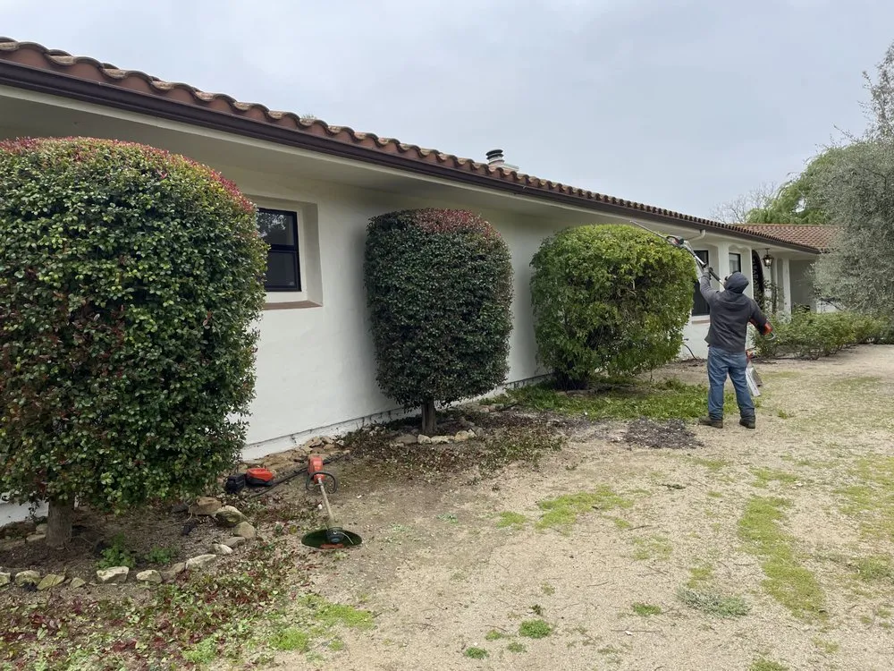 Reliable lawn care service experts serving Oxnard, CA - Israel gardening